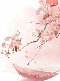 妃争妃宠
