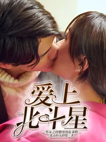 爱上北斗星男友之唐懋漫漫追妻路