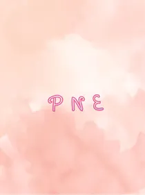 韩团：PNE娱乐公司（招客串）