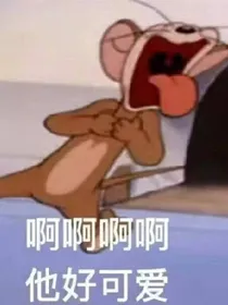和沈先生的恋爱