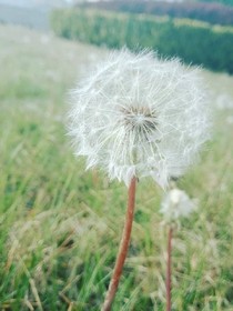 。。黑科技