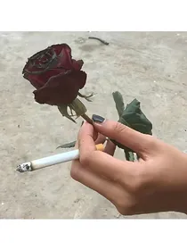 本是抚平留子