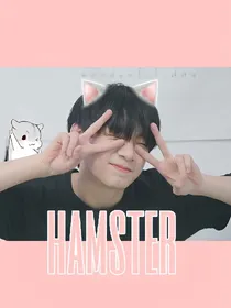 姚琛:猫咪&仓鼠