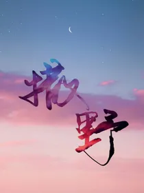 脆皮鸭文学的日常