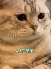 小刘日常