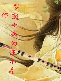穿越之我的王不是你