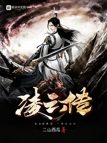 叶凌云传