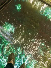 曾经的那个我喜欢过你