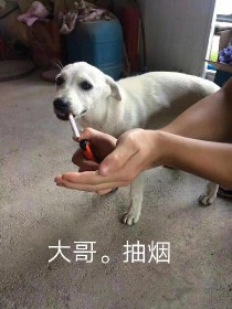 叶罗丽之如果玛丽苏画风突变会怎样