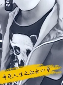 奇遇人生之社会小弟
