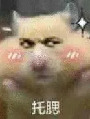 全世界最帅的作者们的专栏