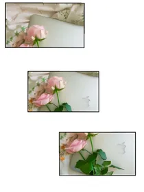 EXO:彼岸，花开