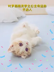 叶罗丽精灵梦之公主的命运开启之人