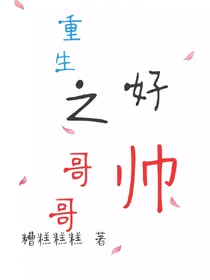 重生之哥哥好帅
