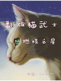 翻版猫武士——燃烧之星