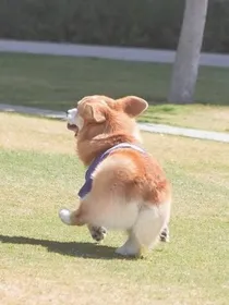 那些明星的盛世美颜
