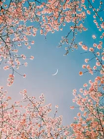 芷颜杂货铺