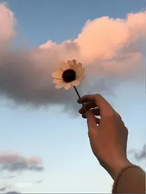 我爱你的翩然一笑