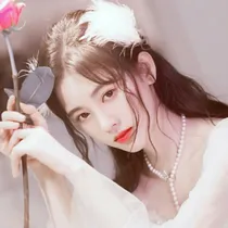 胡春杨之倒追法典