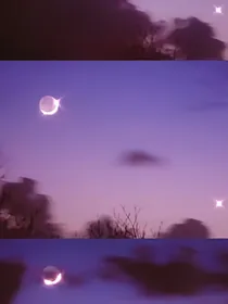落叶.