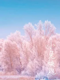 小兔快跑