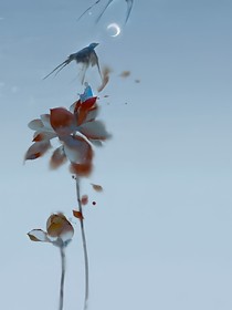 恰似温柔恰似你