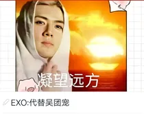 EXO:代替吴团宠