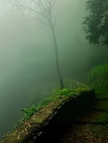 嘉兰郡主