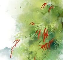千岁无忧