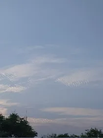 鹿啊鹿