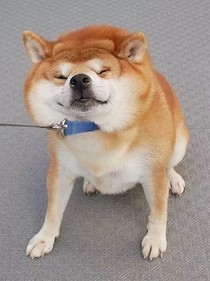 恋爱实况