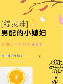 综灵珠之男配的小媳妇
