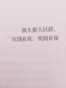 杂乱型小说