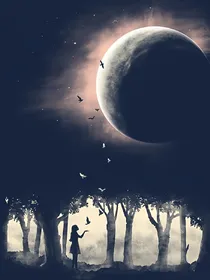 人们总把对孤独的恐惧当做对爱情的向往