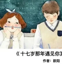 十七岁那年遇见你