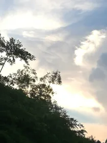 摘取录