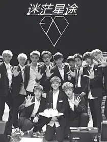 EXO:迷茫星途