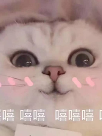 大部分情侣看了----不会分手