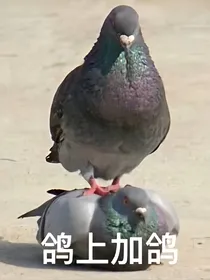 今天也是掰van的一天！