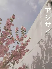 黄旭熙宋雨琦：稀奇cp