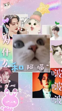 EXO:为什么和阿喵啵啵啵？！
