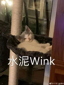 R1SE.心动女成员