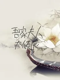 吾家夫人太倾辰