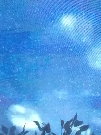 夏有乔木雅望天堂后续