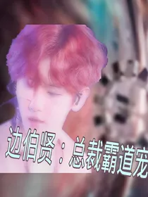 边伯贤：总裁霸道宠