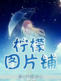 柠檬图片铺——d451