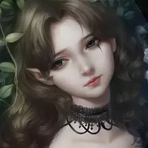 赛尔号之我是你的命运之轮