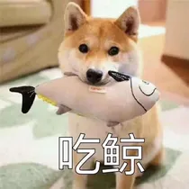 红烧肉杂货铺（不营业）