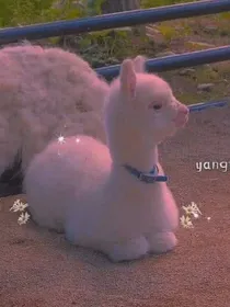星水染江山