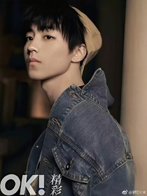 TFBOYS之王俊凯的专宠萌妻